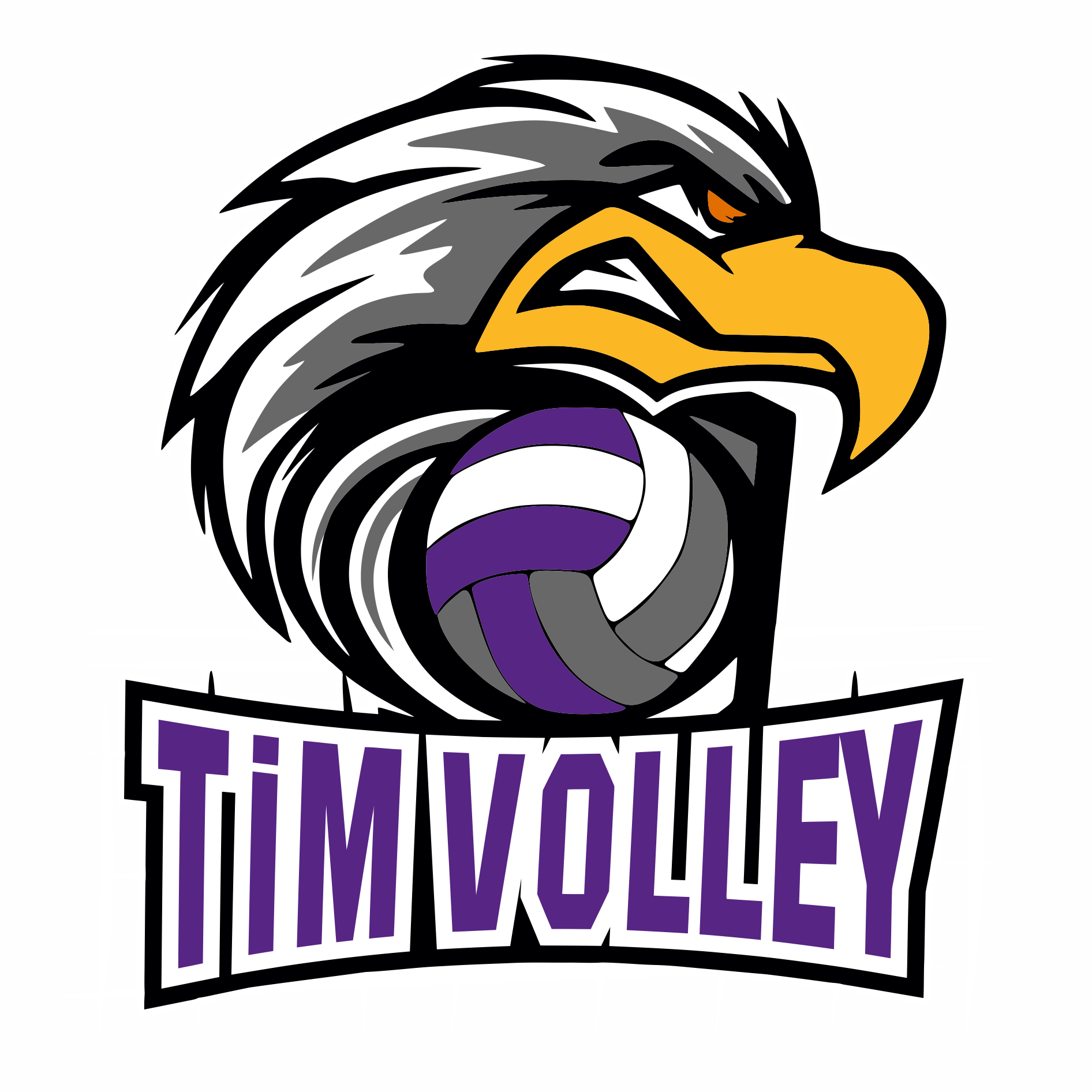 Logo Odbojkaški Klub TIM Volley Jagodina